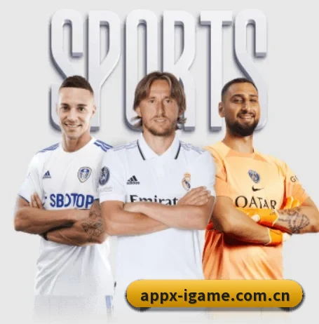 爱游戏网页版 APP